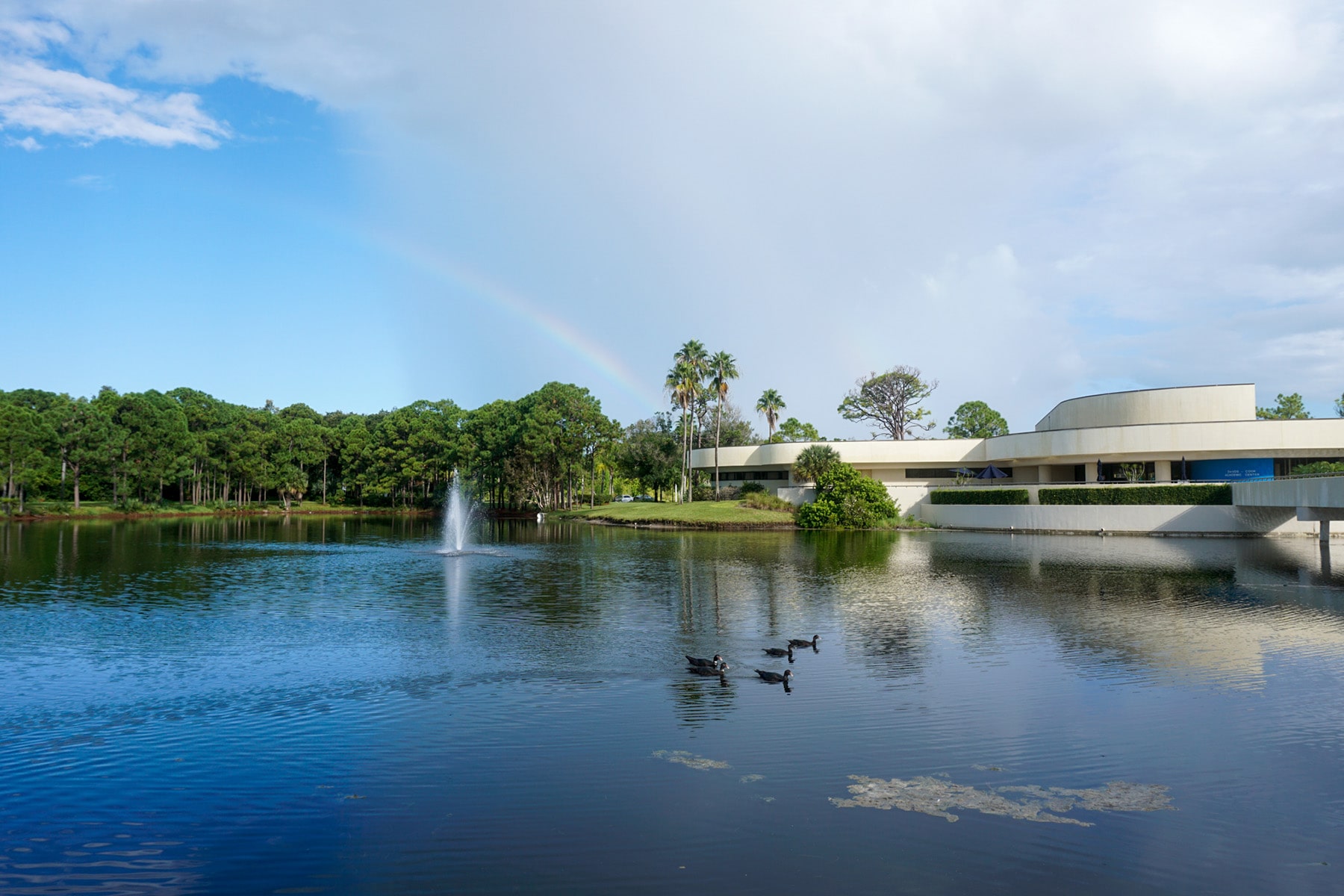 Academics keiser university flagship